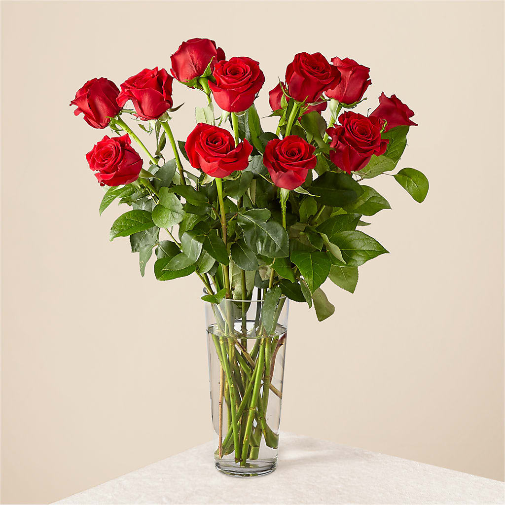 Long Stem Red Rose Bouquet – Sign Of The Rose, Colorado Springs CO