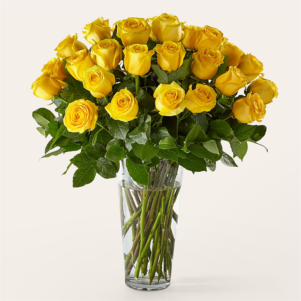 Long Stem Yellow Rose Bouquet – Sign Of The Rose, Colorado Springs CO