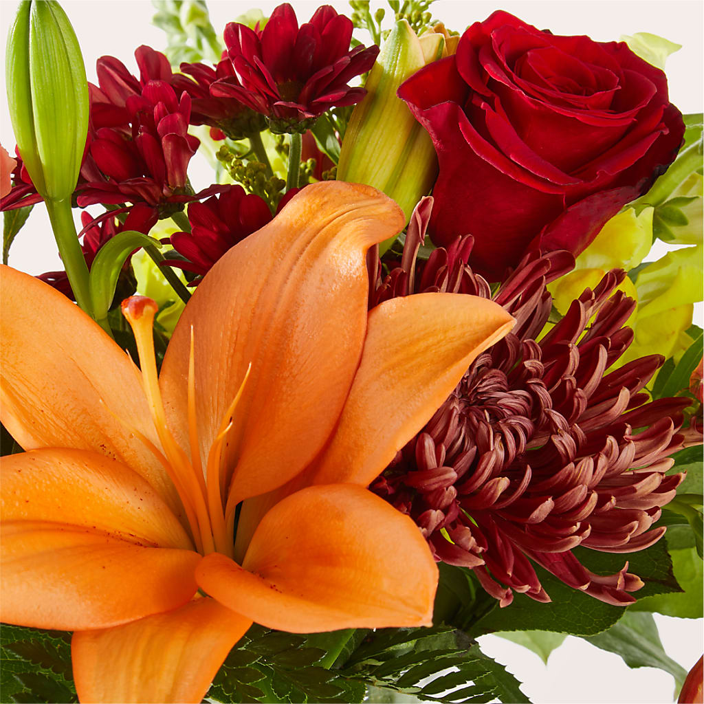 Sweater Season - A Florist Original – Sign Of The Rose, Colorado Springs CO