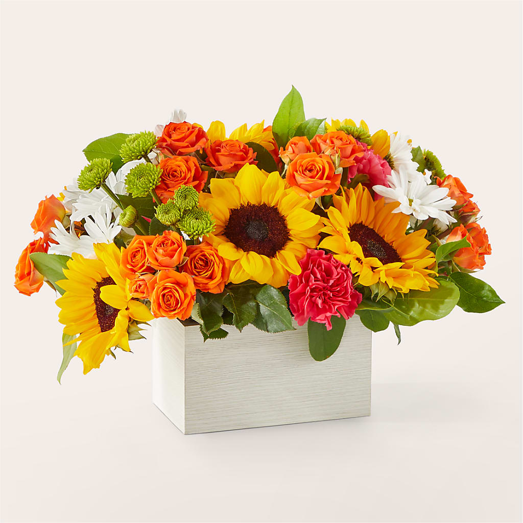 Sun-drenched Blooms Box Bouquet – Sign Of The Rose, Colorado Springs CO