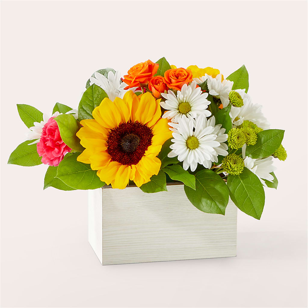 Sun-drenched Blooms Box Bouquet – Sign Of The Rose, Colorado Springs CO