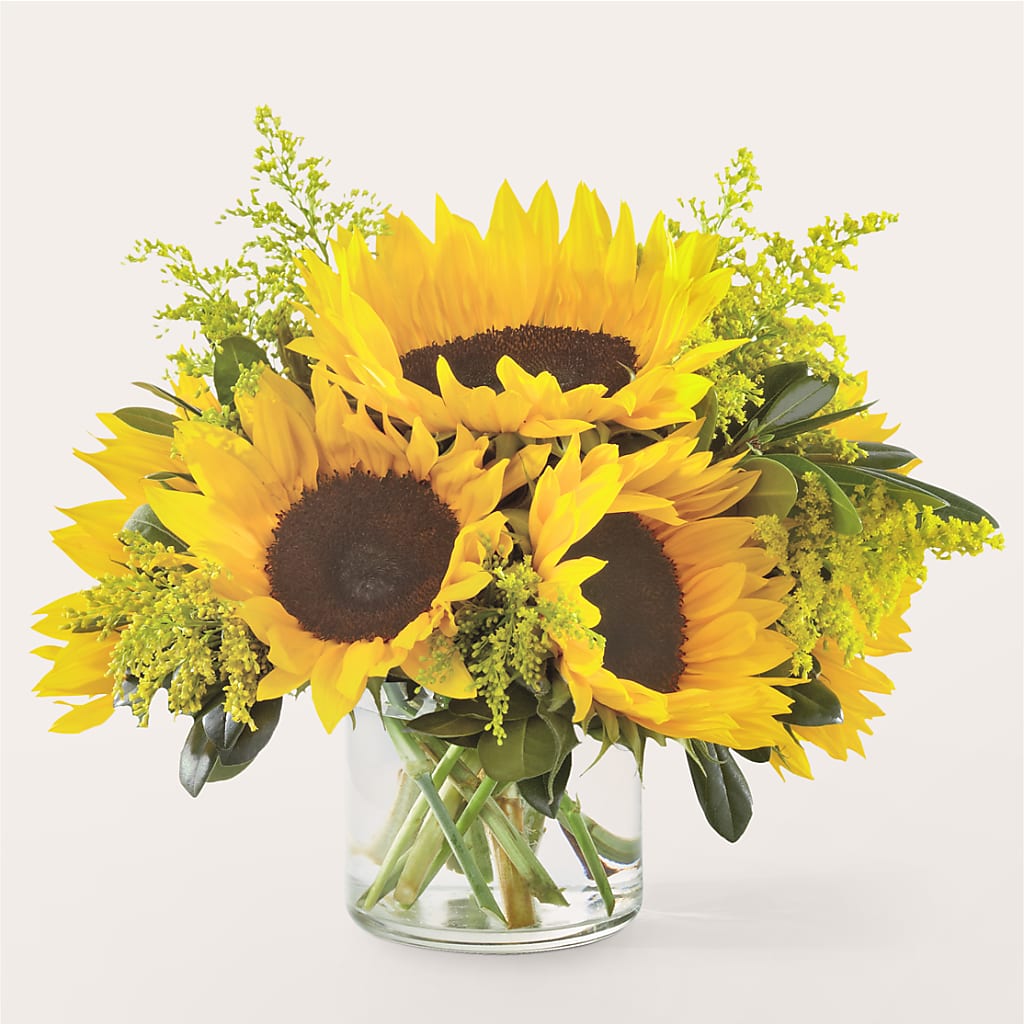 Beaming Sunflower Bouquet – Sign Of The Rose, Colorado Springs CO