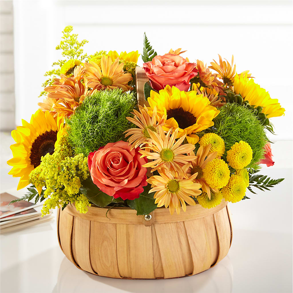 Harvest Sunflower Basket – Sign Of The Rose, Colorado Springs CO