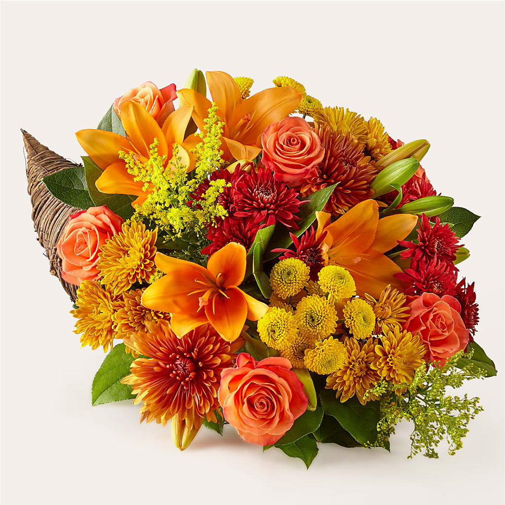 Feast of Color Cornucopia – Sign Of The Rose, Colorado Springs CO