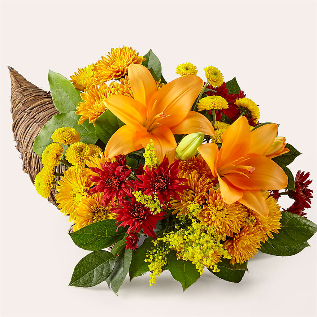 Feast of Color Cornucopia – Sign Of The Rose, Colorado Springs CO