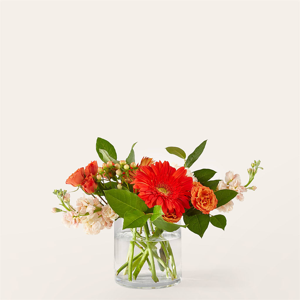 Paloma Please Bouquet – Sign Of The Rose, Colorado Springs CO
