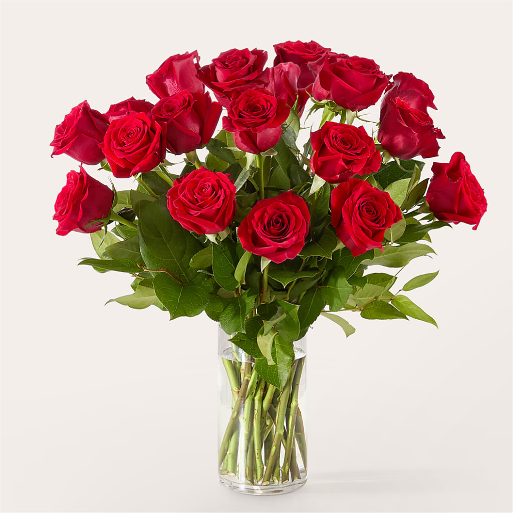 The One Red Rose Bouquet – Sign Of The Rose, Colorado Springs CO