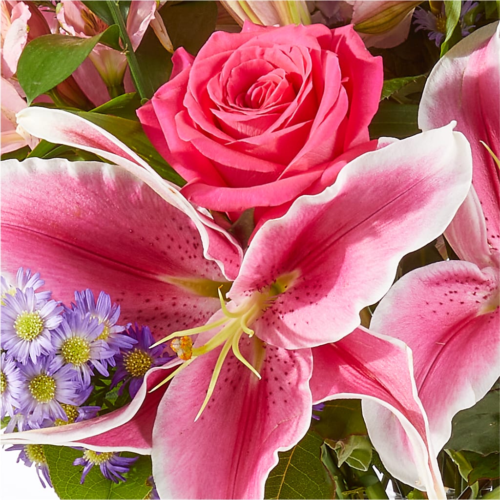 Written in the Stars Bouquet –  Sign Of The Rose, Colorado Springs CO