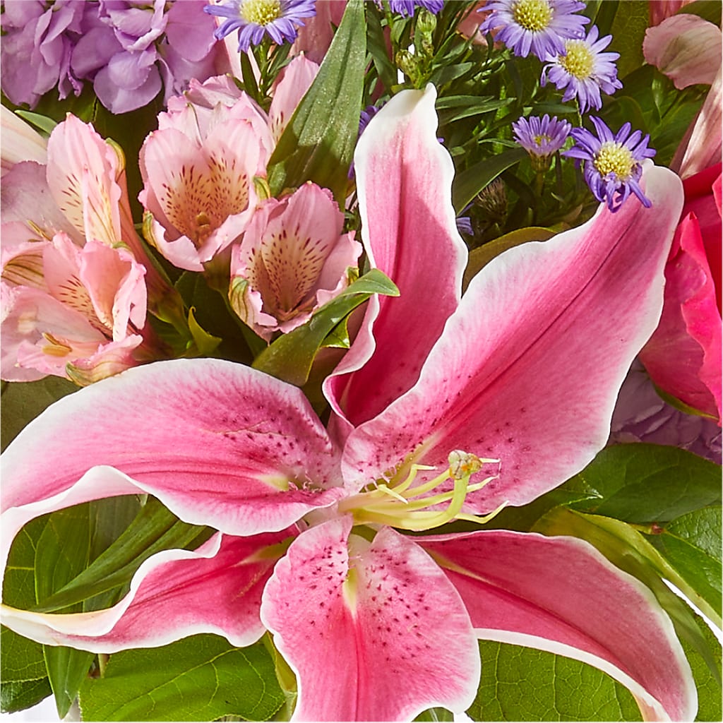Written in the Stars Bouquet –  Sign Of The Rose, Colorado Springs CO