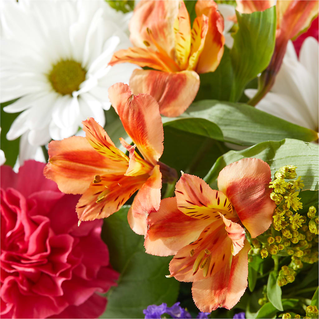 Oopsie Daisy Box Bouquet –  Sign Of The Rose, Colorado Springs CO
