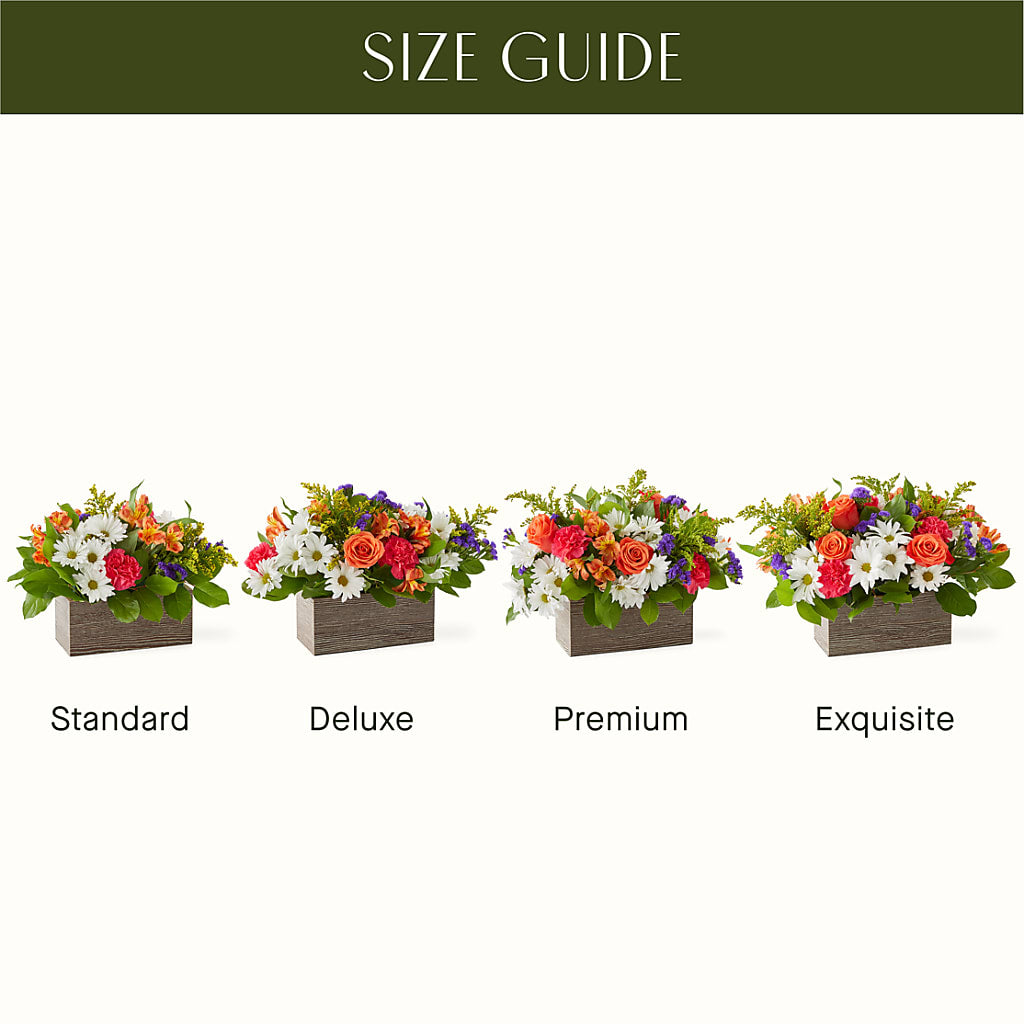Oopsie Daisy Box Bouquet –  Sign Of The Rose, Colorado Springs CO