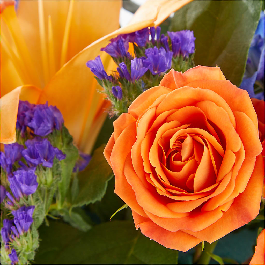 Radiant Citrus Box Bouquet –  Sign Of The Rose, Colorado Springs CO