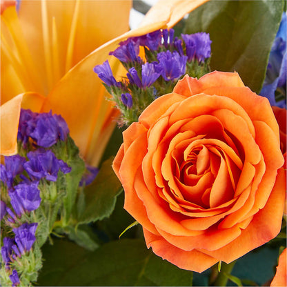 Radiant Citrus Box Bouquet –  Sign Of The Rose, Colorado Springs CO