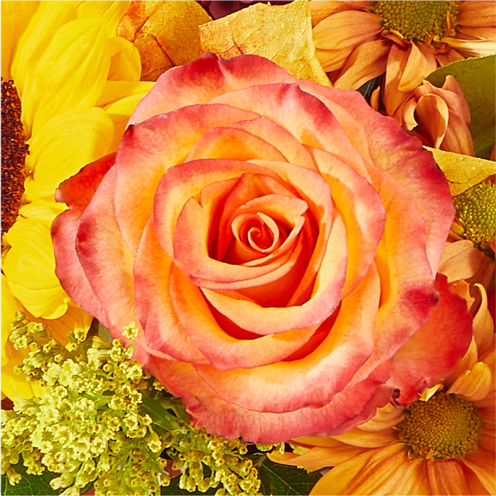 The Outdoors Bouquet –  Sign Of The Rose, Colorado Springs CO