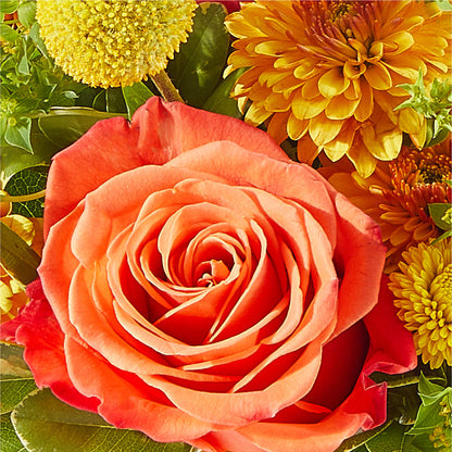 Gourdgeous Pumpkin –  Sign Of The Rose, Colorado Springs CO