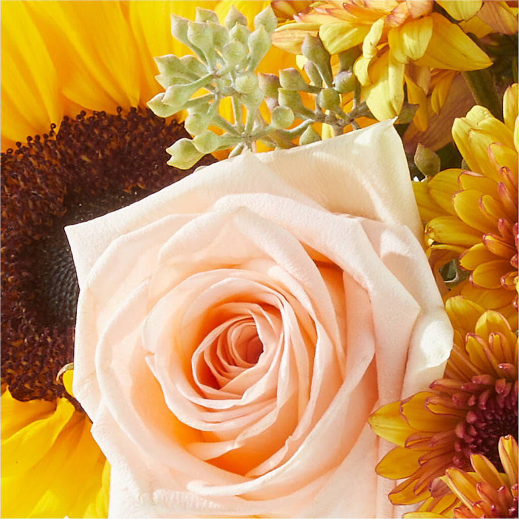 Pumpkin to Talk About Bouquet –  Sign Of The Rose, Colorado Springs CO