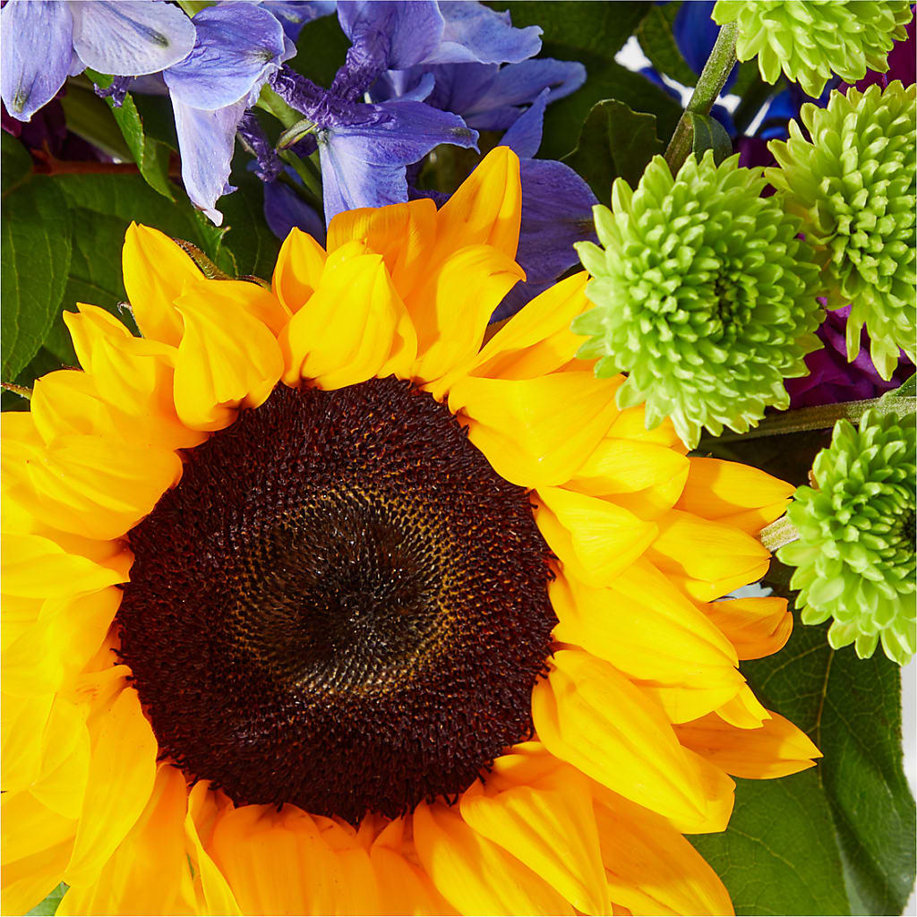Catching Rays Bouquet –  Sign Of The Rose, Colorado Springs CO
