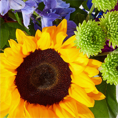 Catching Rays Bouquet –  Sign Of The Rose, Colorado Springs CO