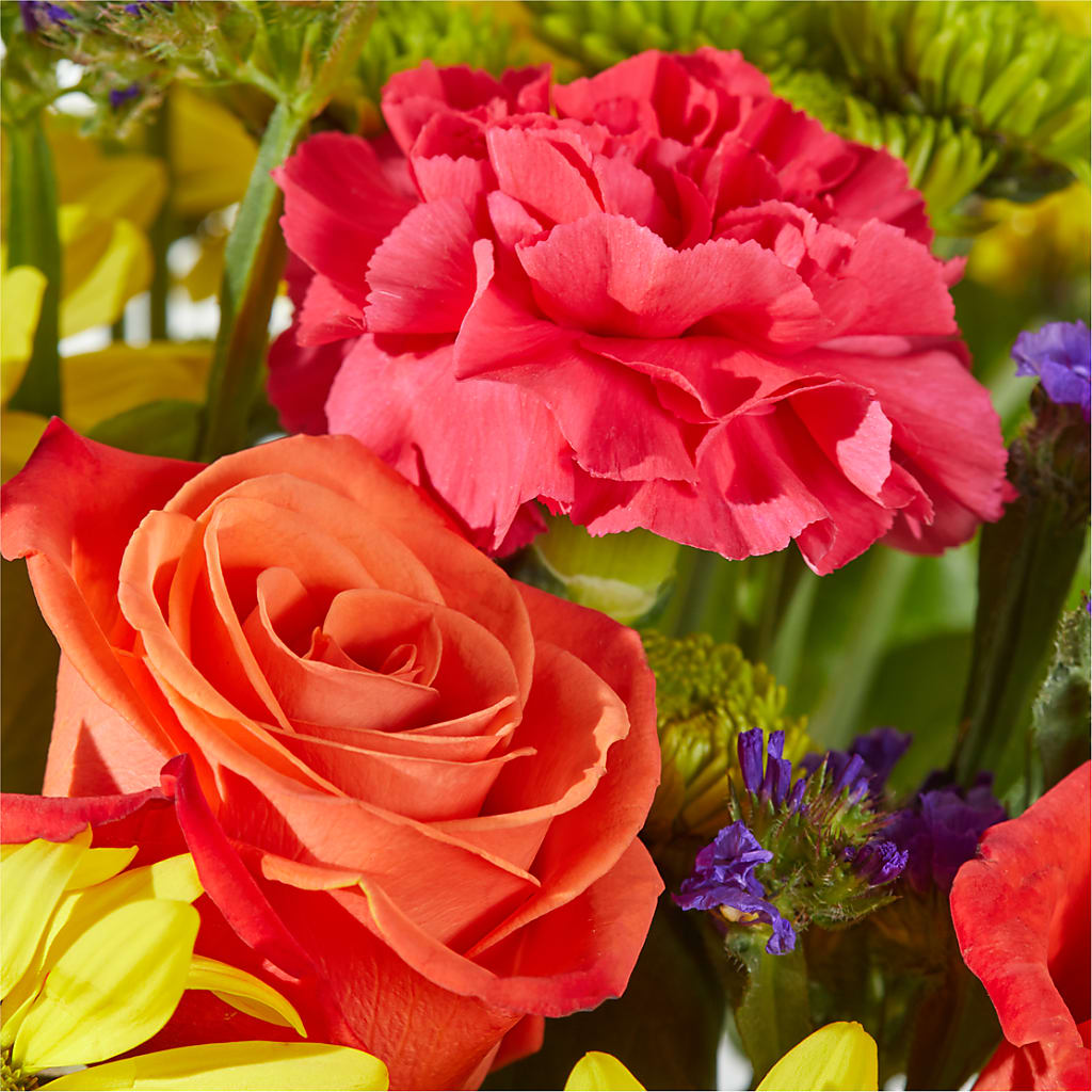 Brighter Days Bouquet –  Sign Of The Rose, Colorado Springs CO
