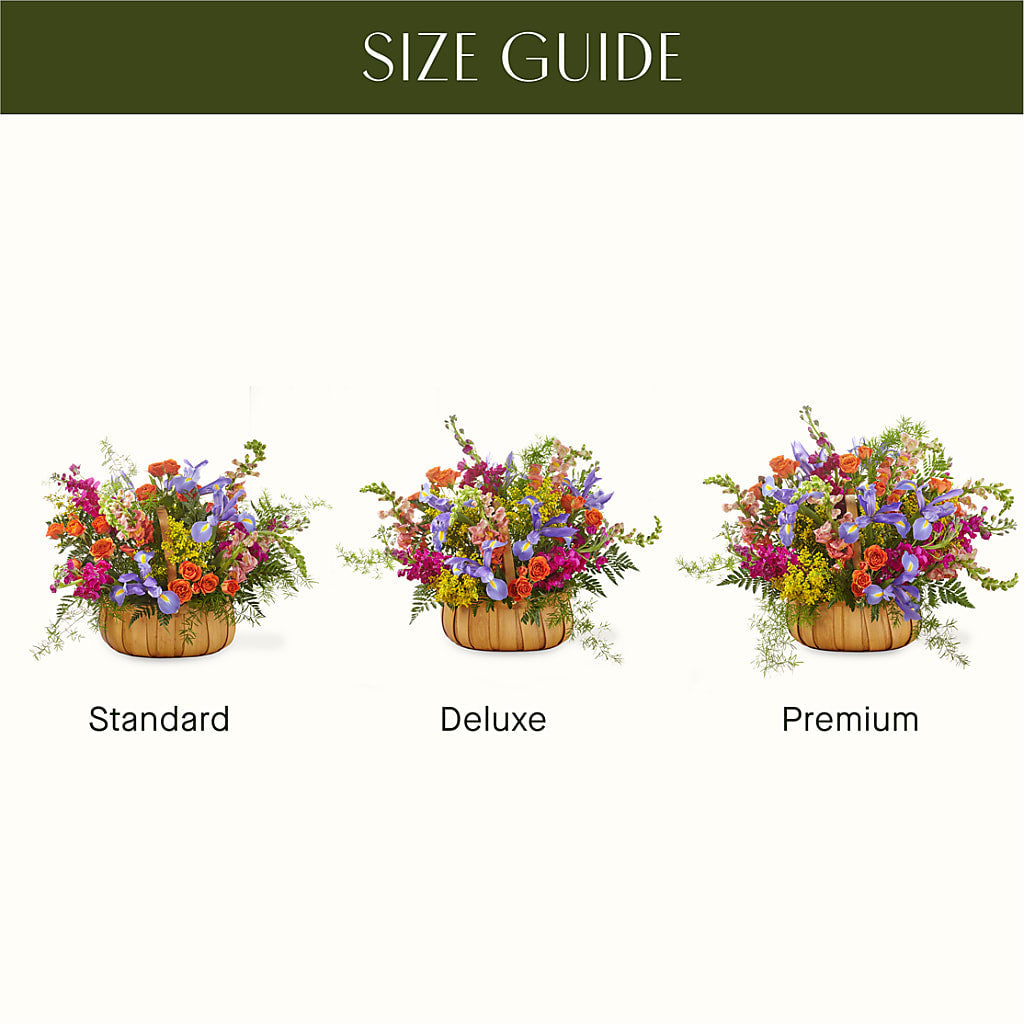 Garden of Life Basket –  Sign Of The Rose, Colorado Springs CO