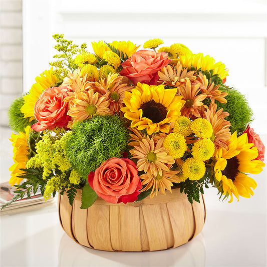 Harvest Sunflower Basket –  Sign Of The Rose, Colorado Springs CO