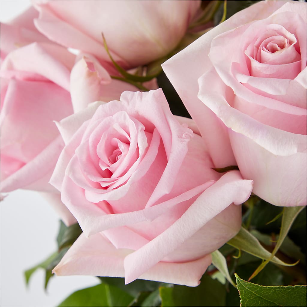 Picture Perfect Pink Rose Bouquet –  Sign Of The Rose, Colorado Springs CO