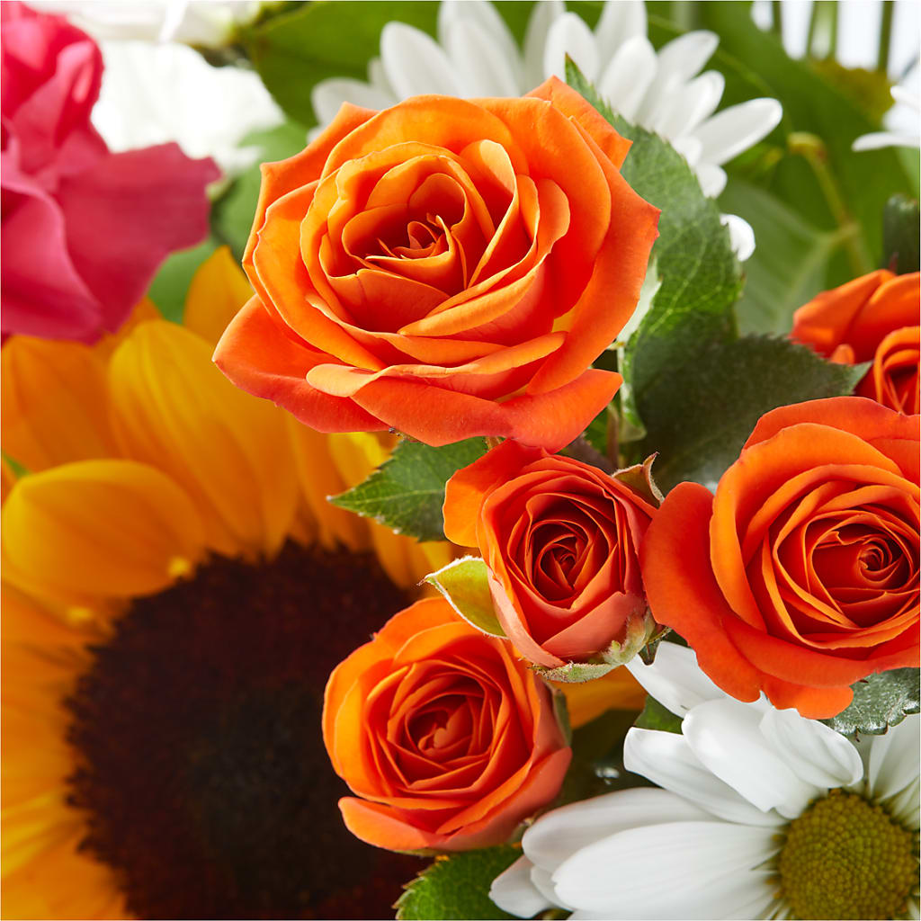 Sun-drenched Blooms Bouquet –  Sign Of The Rose, Colorado Springs CO