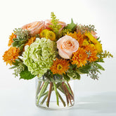 Sign of the Rose Florist