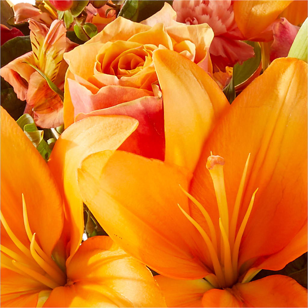 Afternoon Light Bouquet –  Sign Of The Rose, Colorado Springs CO