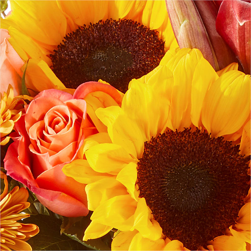 Acorn Lane Bouquet –  Sign Of The Rose, Colorado Springs CO