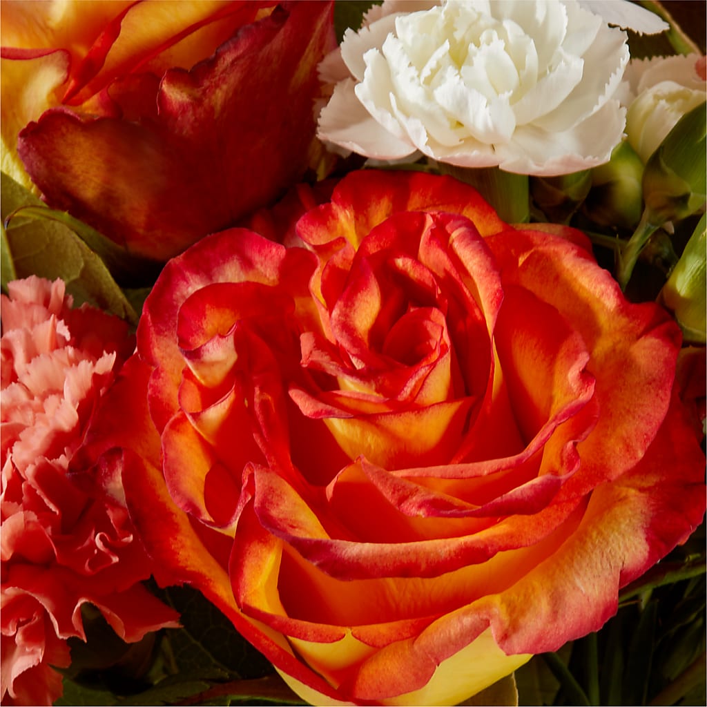 Apricot Glow Bouquet –  Sign Of The Rose, Colorado Springs CO