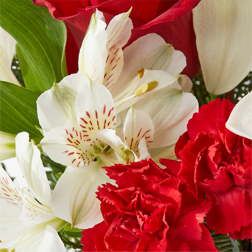 Holiday Season Bouquet –  Sign Of The Rose, Colorado Springs CO