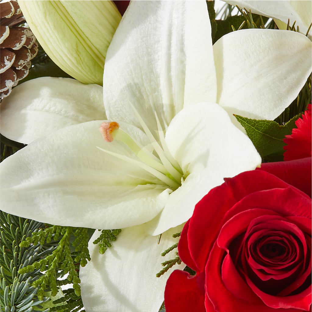 Oh So Jolly Bouquet –  Sign Of The Rose, Colorado Springs CO