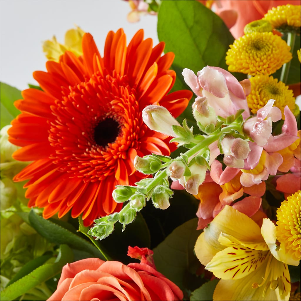 Autumn Sunshine Bouquet –  Sign Of The Rose, Colorado Springs CO