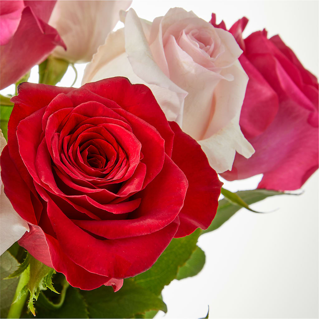 Charming Rose Bouquet –  Sign Of The Rose, Colorado Springs CO