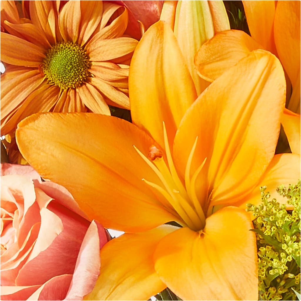 Harvest Hayride Bouquet –  Sign Of The Rose, Colorado Springs CO