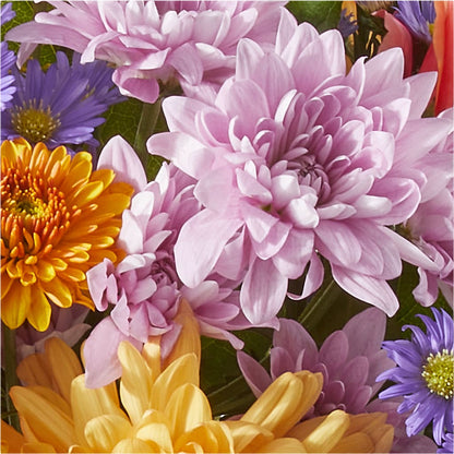 Countryside Bouquet –  Sign Of The Rose, Colorado Springs CO