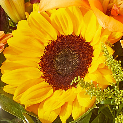 Seasons Change Bouquet –  Sign Of The Rose, Colorado Springs CO