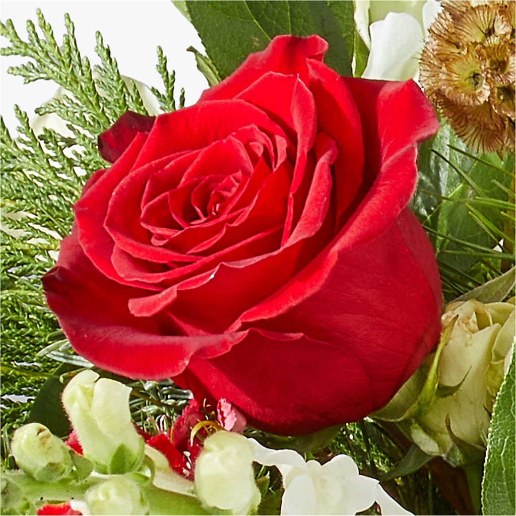 Deck the Halls Bouquet –  Sign Of The Rose, Colorado Springs CO