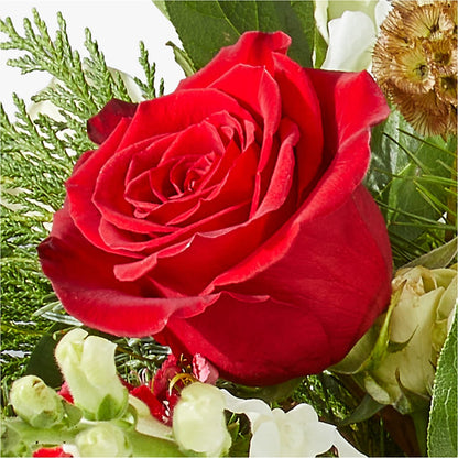 Deck the Halls Bouquet –  Sign Of The Rose, Colorado Springs CO
