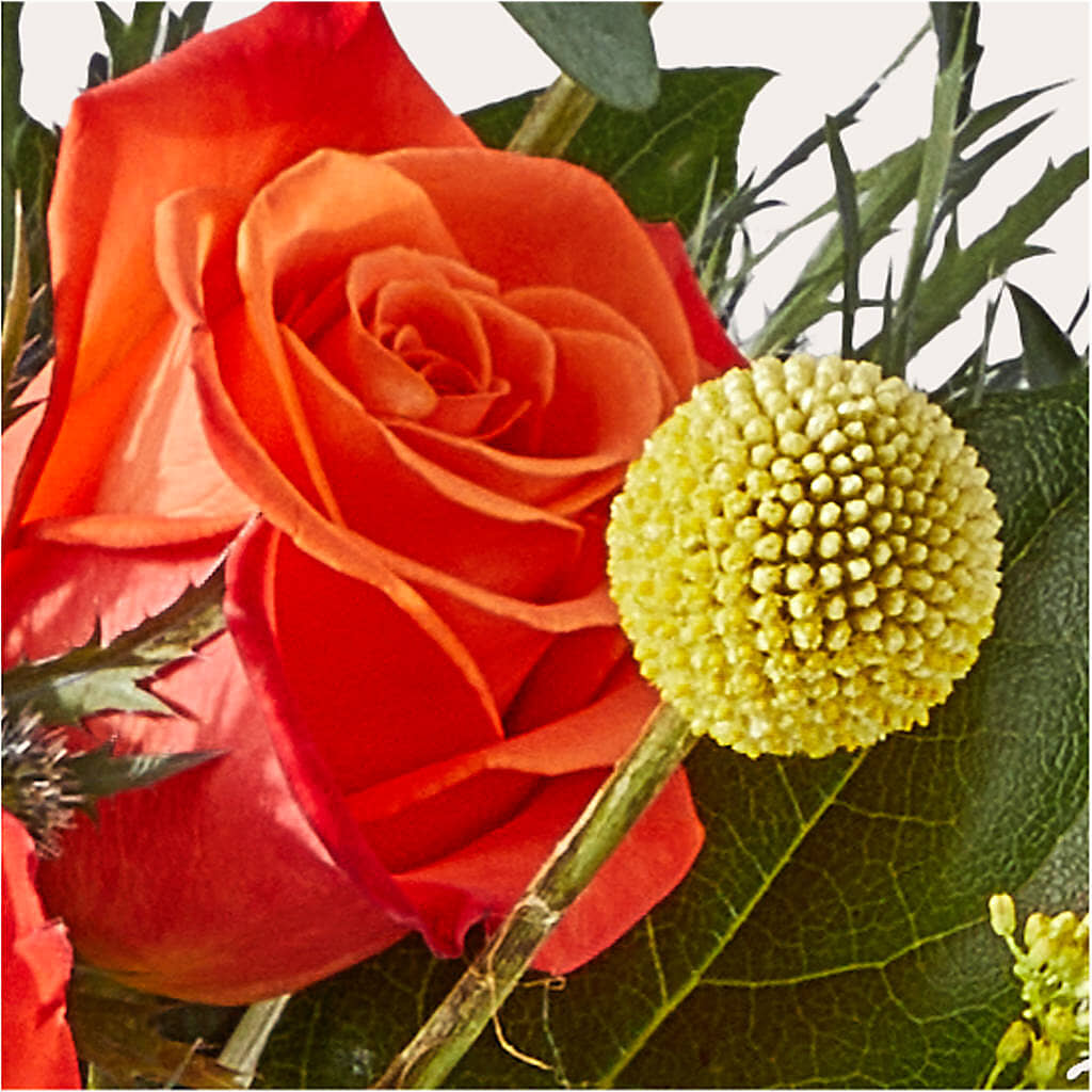 Disco Bouquet –  Sign Of The Rose, Colorado Springs CO