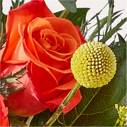 Disco Bouquet –  Sign Of The Rose, Colorado Springs CO