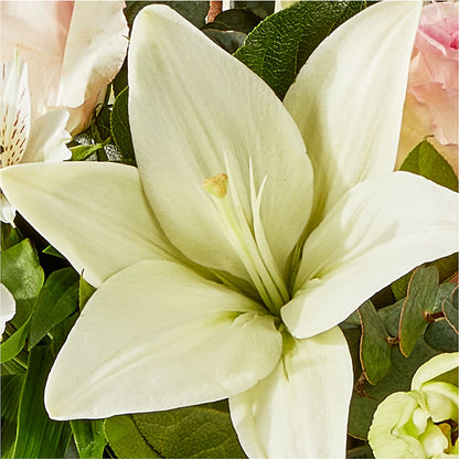 Ballet Slippers Bouquet –  Sign Of The Rose, Colorado Springs CO