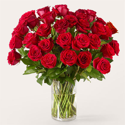 The One Red Rose Bouquet –  Sign Of The Rose, Colorado Springs CO