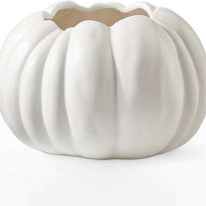 Pumpkin to Talk About Bouquet –  Sign Of The Rose, Colorado Springs CO